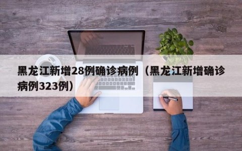 黑龙江新增28例确诊病例（黑龙江新增确诊病例323例）