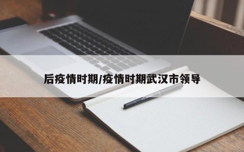 后疫情时期/疫情时期武汉市领导